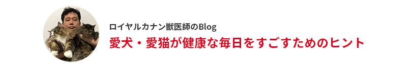 ロイヤルカナン獣医師のBlog