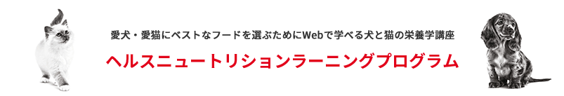 栄養学講座