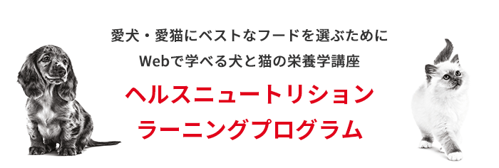 栄養学講座