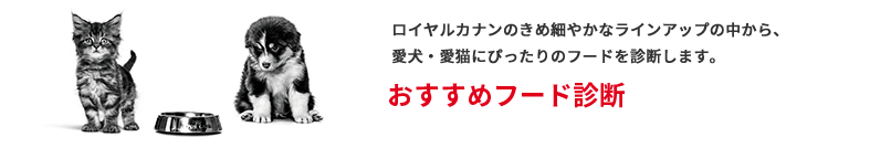おすすめフード診断