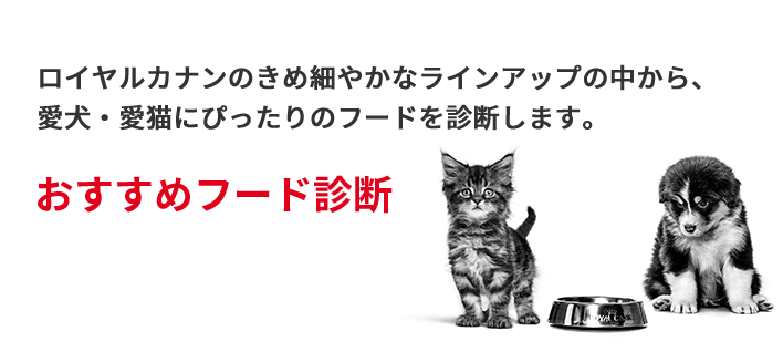 おすすめフード診断