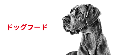 ドッグフード